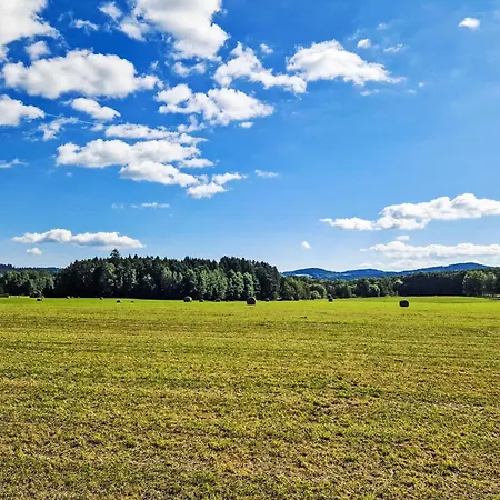 Slunečná By Interhome Apartmán *